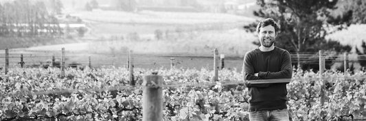 NEW RELEASES: Storm Pinot Noir and Chardonnay - stellar wines from one of South Africa’s finest producers