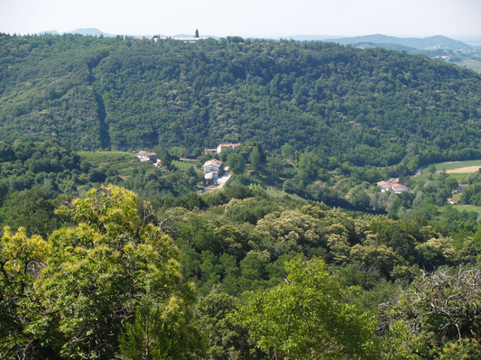 2018 Schioppettino from Ronchi di Cialla