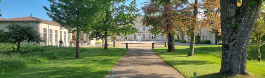 Bordeaux, 2023, En Primeur, Fine Wine