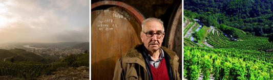 Cornas, Domaine Auguste Clape - Some of the most singular wines in the world
