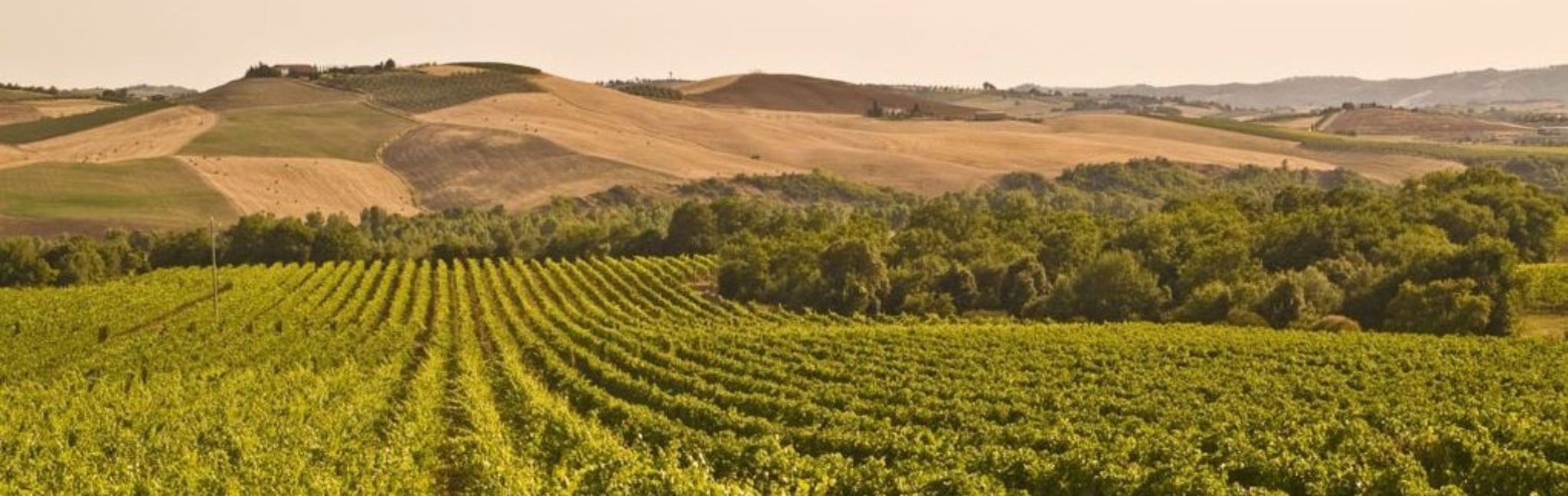 New_website_blog_post_banners_