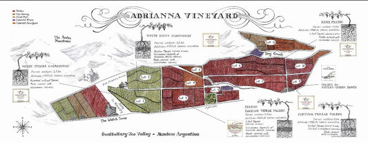 Highly individual Malbec and Chardonnay from Catena Zapata's Adrianna Vineyard