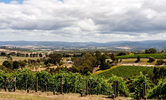 2021 Eisenstone Shiraz, Koonunga SR807 - Undeniably Barossa with rare elegance