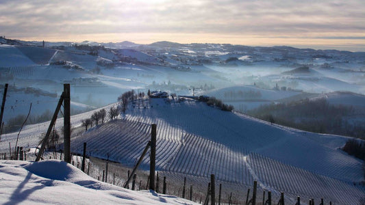 Three Wines For The Festive Season