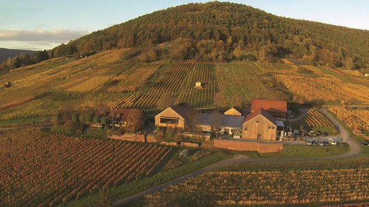 An impressive duo - Pinot Noir and Chardonnay from Rudolf Furst