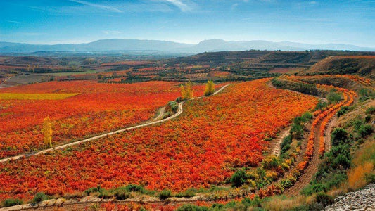 2015 Rioja Gran Reserva, Finca Ygay, Marqués de Murrieta