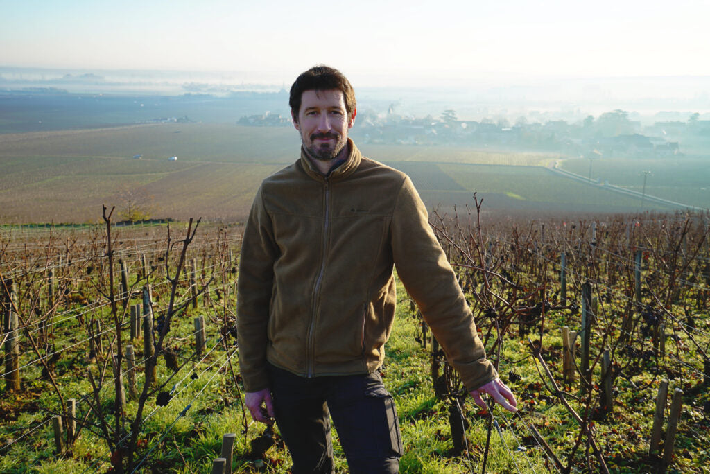 NEW RELEASE: 2021 Bourgogne Aligoté, Domaine Sylvain Cathiard