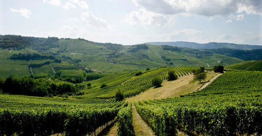 Barolo Riserva from Oddero : An 'absolutely exquisite' Vigna Rionda and a 'super-traditional' Bussia