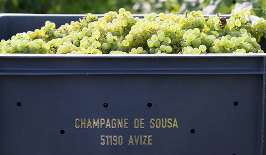 NEW RELEASES - Two New Champagnes from de Sousa - on your marks...