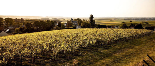 NEW RELEASE : Vilmart, Coeur de Cuvée - a great 2013 from one of the finest Champagne producers