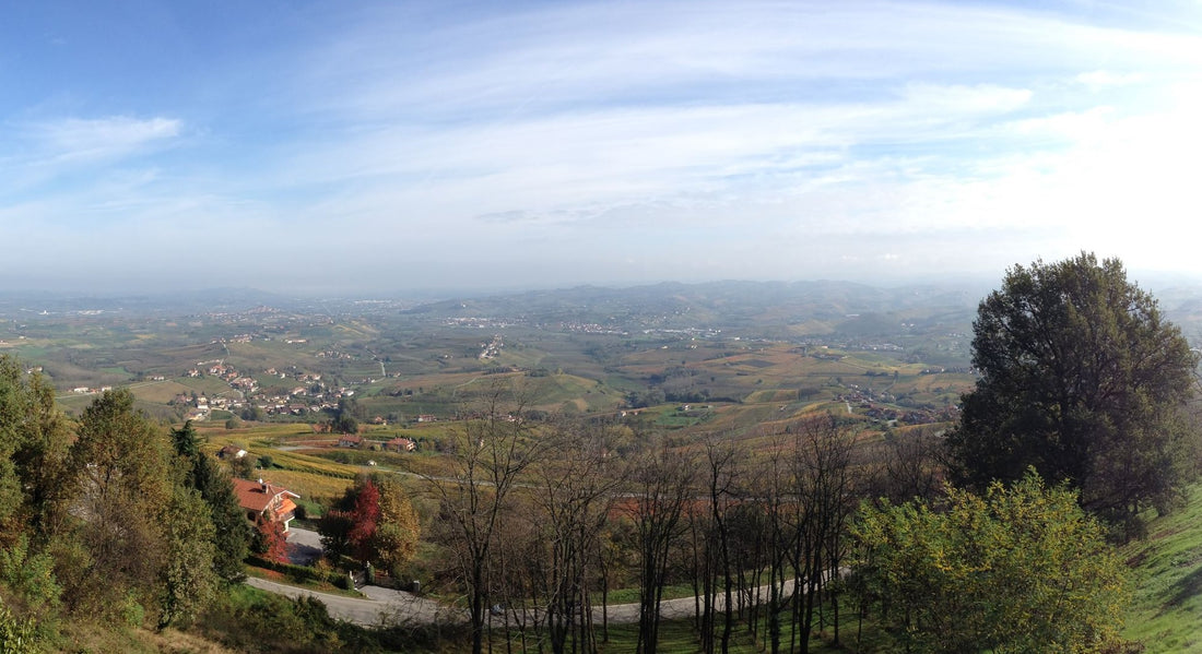 2016 Barolo, Neirane, Bosco Agostino - a lesser-known site and grower combine in a five star vintage