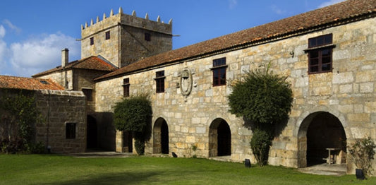 2019 Albariño, III Año, Fefiñanes - A stunning Spanish white with impressive complexity