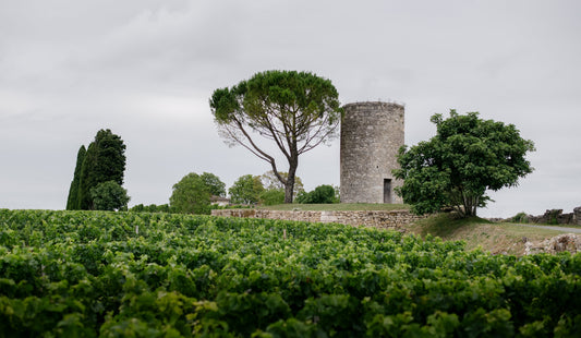 NEW 2020 BORDEAUX EN PRIMEUR RELEASE - Château Berliquet