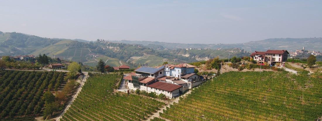 2015 Barolo Riserva 'Vigna Lazzarito', Ettore Germano - Far exceeding expectations