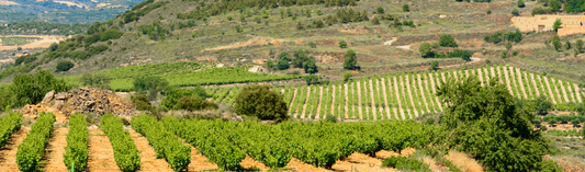 Cédric Bouchard, Roses de Jeanne, Cote de Bechalin La Parcelle (2007) NV