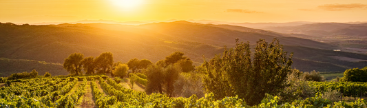 Antonio Moretti, Orma, Bolgheri 2012