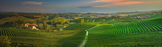 Castellare di Castellina, Poggio ai Merli 2013