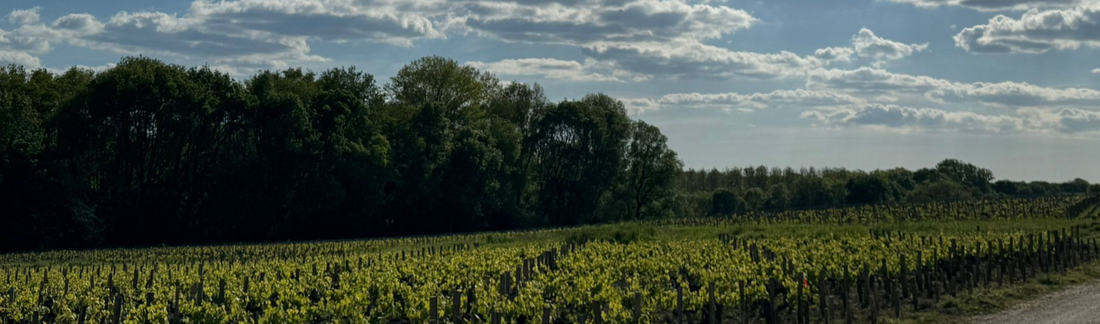 2016 La Ca’ Nova Barbaresco