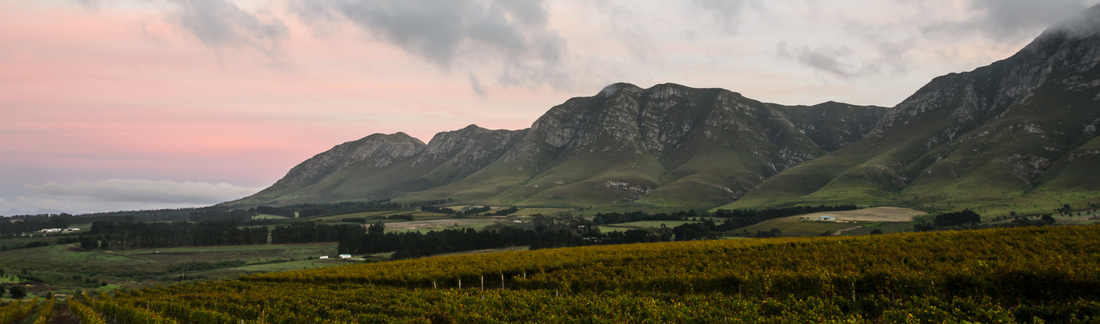 2016 Barolo, Cerretta, Giovanni Rosso - time to add a new name to your list