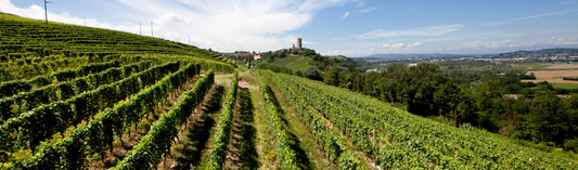 2016 Barolo from Parusso including the 'simply brilliant' Bussia