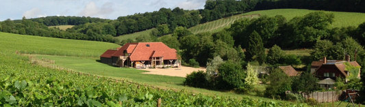 2016 Caiarossa