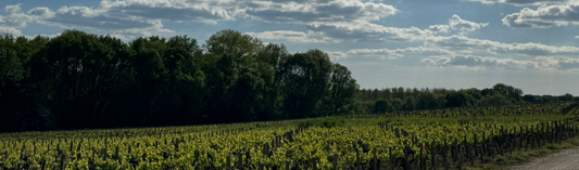 2016 Château Cos d’Estournel, 2eme Cru Classé, St. Estèphe
