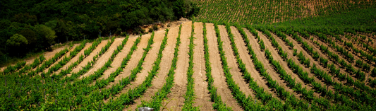 2017 Château Rauzan-Ségla