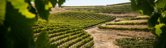 2018 Château Cos d’Estournel