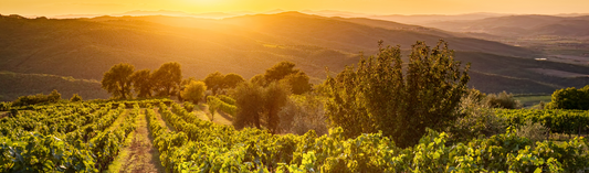 2018 Château La Clotte, Grand Cru Classé, St. Emilion