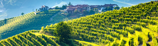 2018 Château Troplong Mondot, Grand Cru Classé, St Emilion