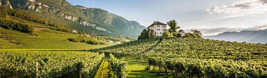 2018 Soave 'La Rocca' Pieropan - time to think again