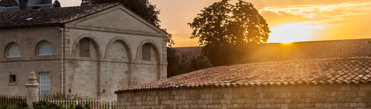 2019 Bordeaux En Primeur New Release  Cos d'Estournel