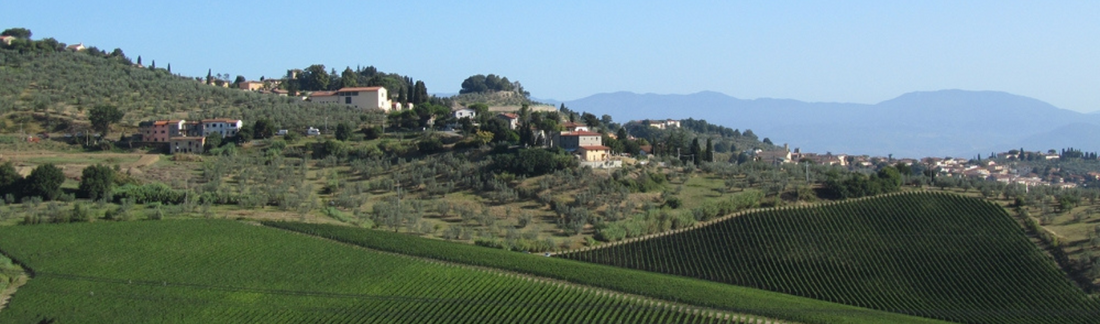 2019 Cesanese from Abbia Nòva - an indigenous, rare red from Lazio