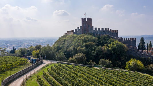 NEW RELEASES: The exceptional 2020s from Pieropan - uncommonly complex Soave built to age