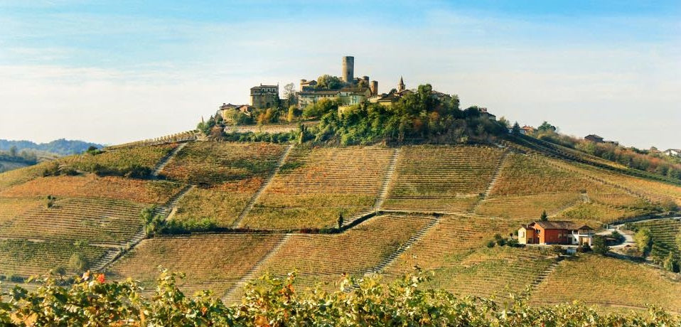 NEW RELEASES : 2019 Barolo (and Barbaresco) from Vietti - A spellbinding range