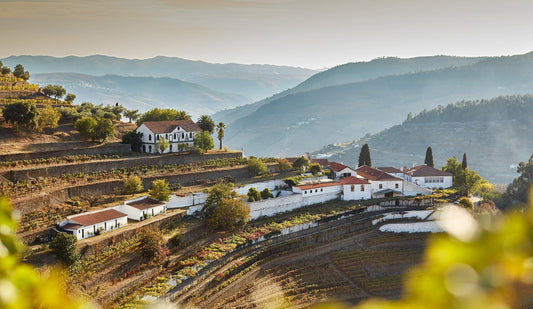 2018 Quinta Do Noval Reserva - A refined, elegant red from the heart of the Douro