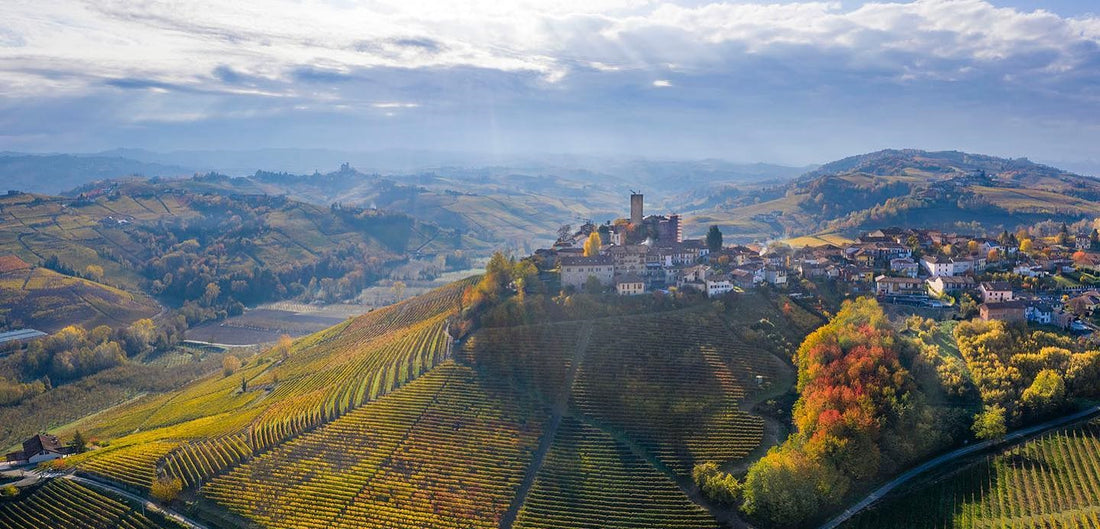 Two outstanding Barbaresco from Vietti - outgoing and incoming