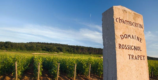 Three great 2019 Grands Crus from Domaine Rossignol-Trapet - undeniable value