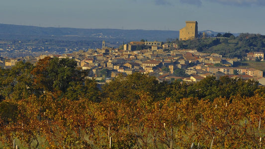 2019 Châteauneuf-du-Pape from Mont Olivet : the product of an exceptional vintage