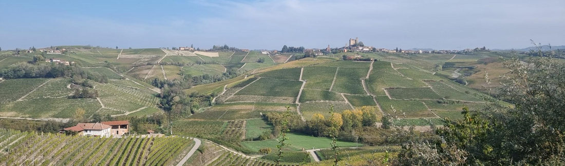 Barolo 2019 Vintage Report