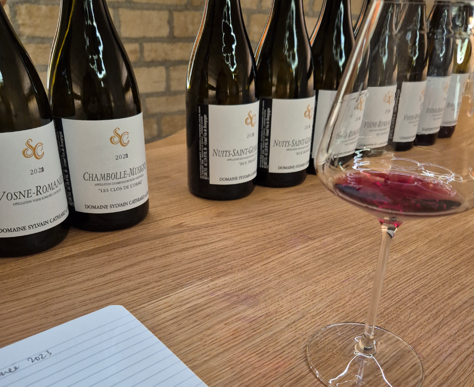 All about balance: 2023 Burgundy Vintage Report