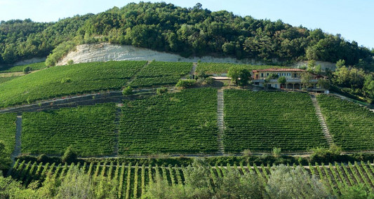 A Grasso Barolo triumvirate: two brilliant 2022s and an epic 2020 Riserva