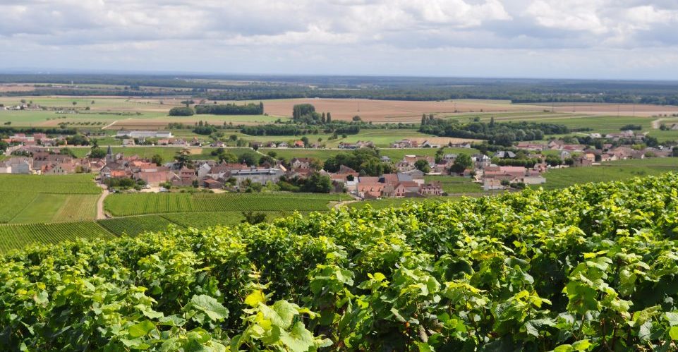 Domaine Hudelot-Noellat 2016