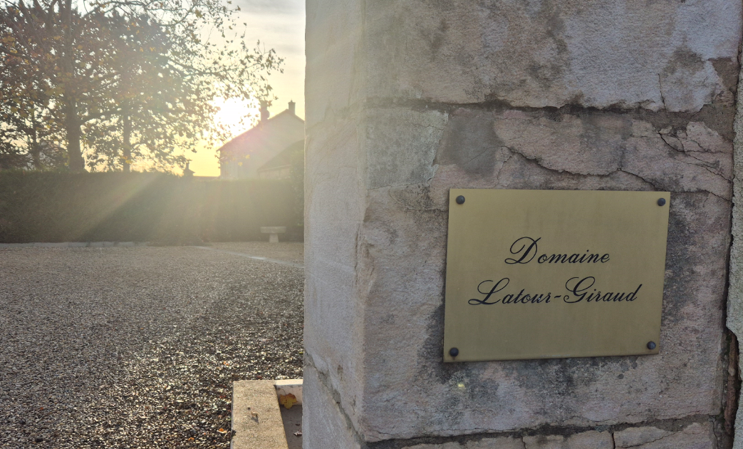 Burgundy 2024 Vintage Report