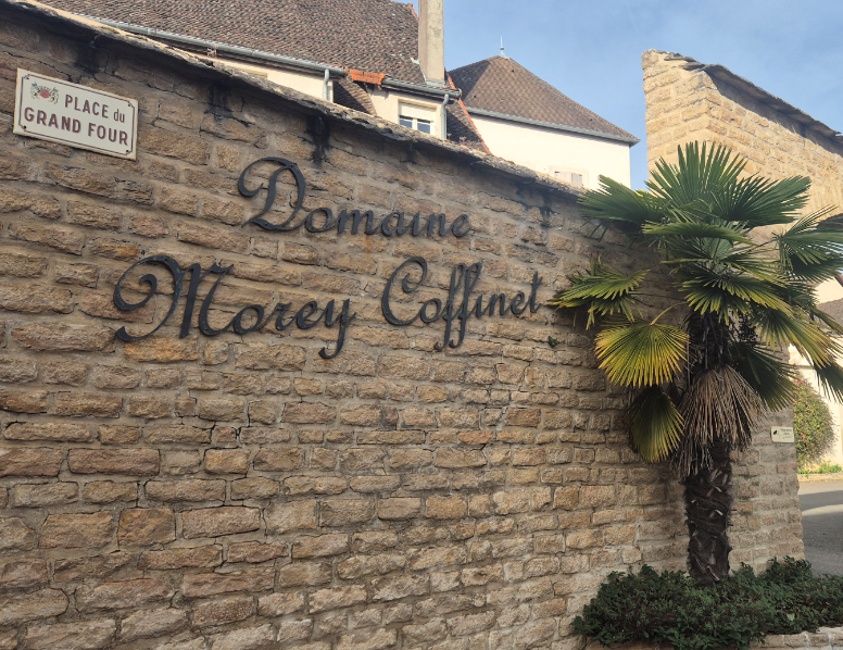 2024 Burgundy: Domaine Morey-Coffinet - 'a great range of wines in 2024' JM