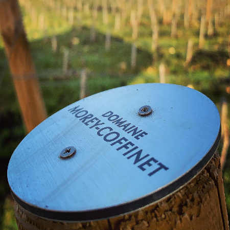 2023 Burgundy: The Chassagne-Montrachet of Domaine Morey-Coffinet