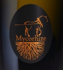 Magnums and Jeroboams from Champagne De Sousa -  A limited time PRE-SHIPMENT offer