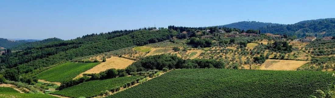 NEW RELEASE: 2021 Verdicchio dei Castelli di Jesi, Podium, Garofoli