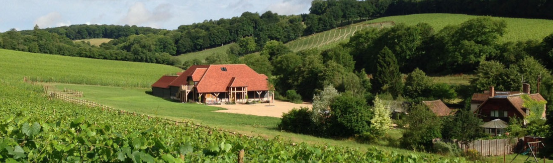 English Wine Week, Hundred Hills, Sparkling Wine, English Wine, Oxfordshire