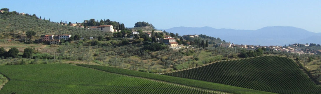 NEW RELEASE: 2021 Cabernet Franc, Poggio de'Colli, Piaggia - Take another look